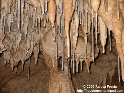 Stalactites, Bears Cave, upper level